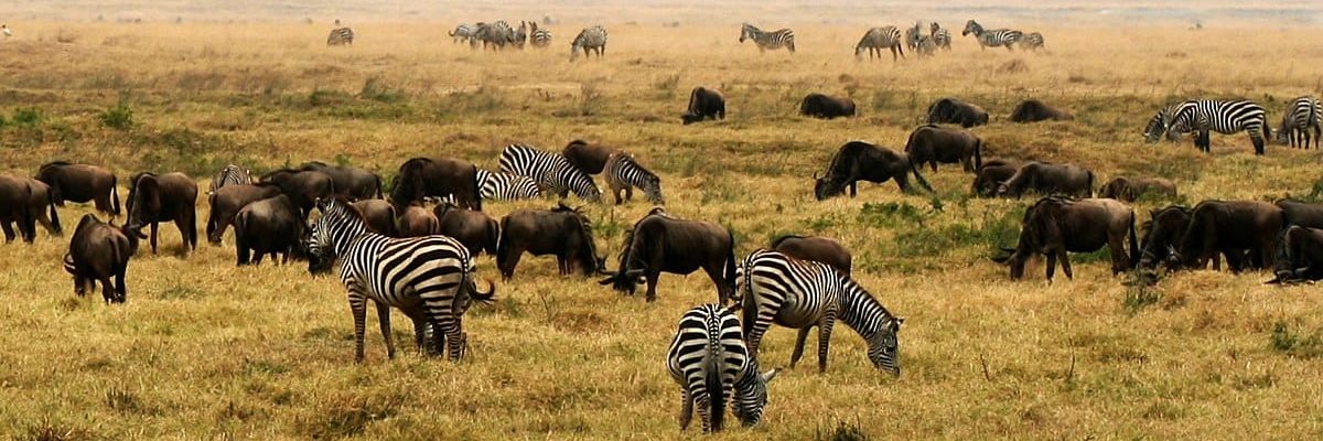 NgoroNgoro_Crater,_Tanzania,_Africa