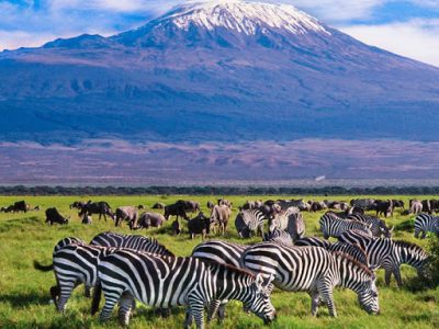 4-days-Amboseli-Taita-hills-and-Tsavo-east-safari