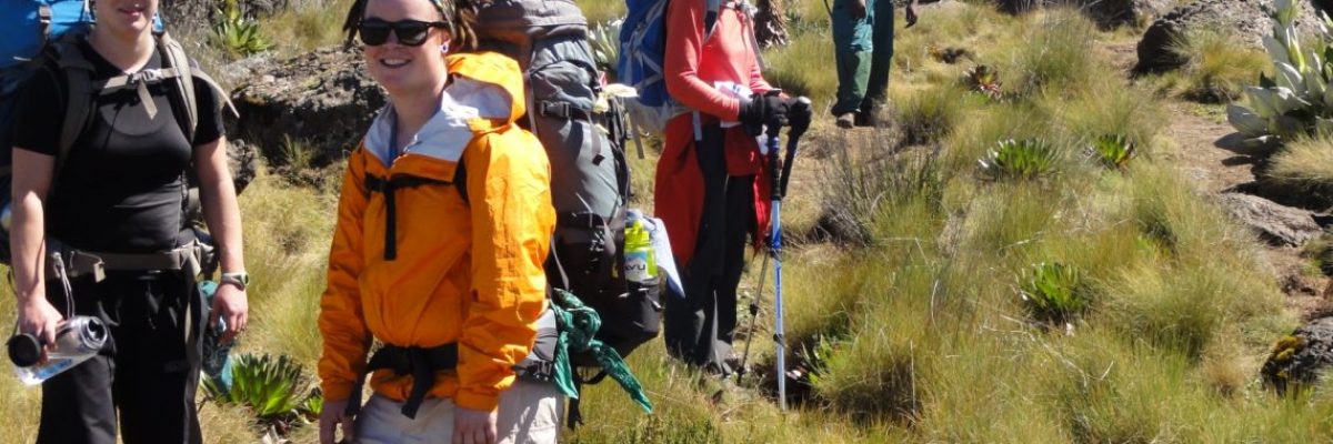 Mt-Kenya-Hike-cost-1140x530