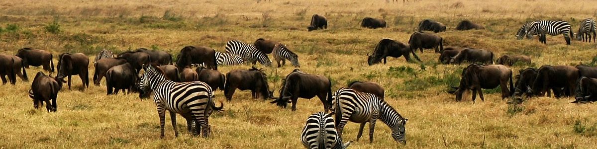 NgoroNgoro_Crater,_Tanzania,_Africa