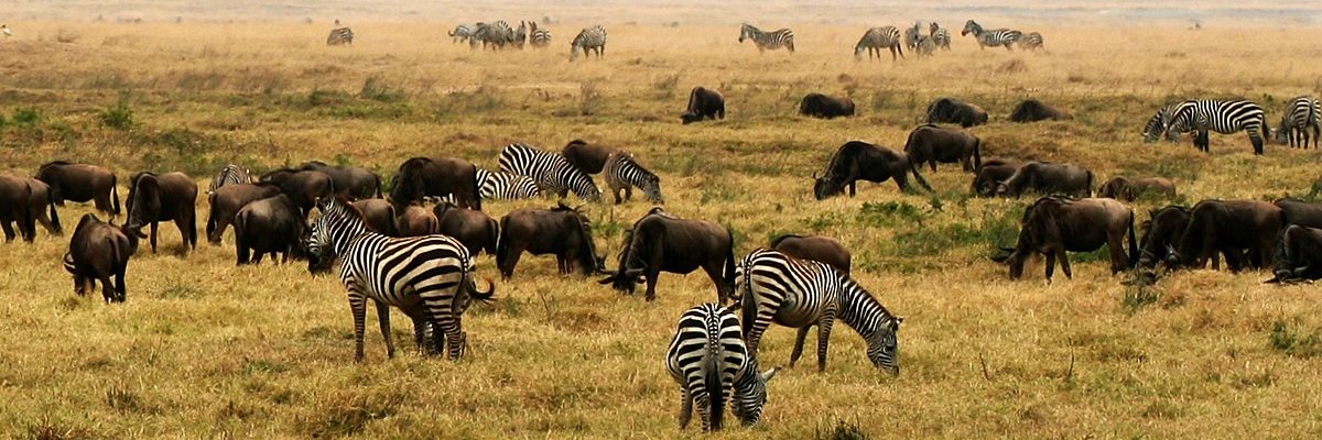 NgoroNgoro_Crater,_Tanzania,_Africa